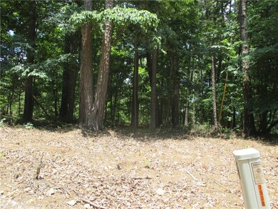 5 AC Devils Gap Rd, Rogers, AR 72756 - photo 2