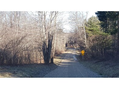 5850 Wetmore Rd, Conneaut, OH 44030 - photo 5