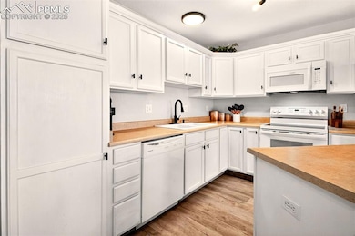 2532 Mesa Springs View, Colorado Springs, CO 80907 - photo 7