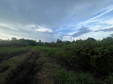 0 E State Road 60 unit R11004766, Yeehaw, FL 34972 - photo 4