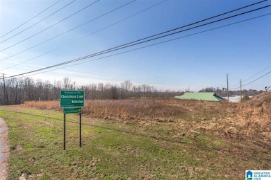 0 Friendship Rd unit 1 acre 835862, Oxford, AL 36203 - photo 3