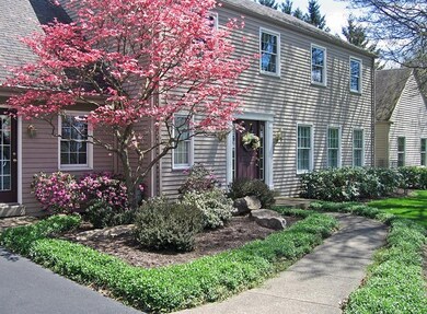 Meticulously manicured gardens and landscaping ado