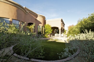 back yard2