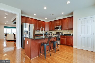 25455 Hopton House Terrace, Chantilly, VA 20152 - photo 3