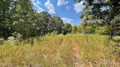 00 Graves Ln, Trenton, TN 38382 - photo 6