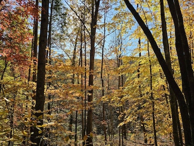 0 Black Oak Rd, Rock, WV 24747 - photo 3