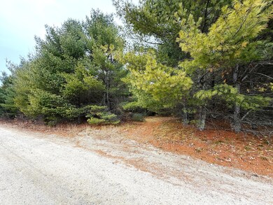 Lot 4 Emery Rd, Parsonsfield, ME 04047 - photo 7