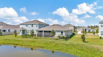 16633 Mooner Plank Cir, Wimauma, FL 33598 - photo 4