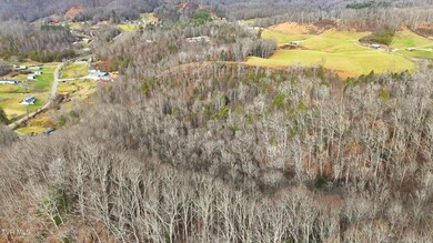 Tbd River Ln, Coeburn, VA 24230 - photo 3