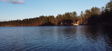 Pond view
