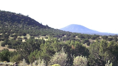 11139 Howard Mesa Loop, Williams, AZ 86046 - photo 3