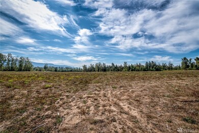 2753 E Badger Rd, Everson, WA 98247 - photo 2