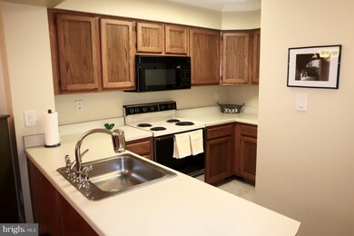 18118 Windsor Hill Dr, Olney, MD 20832 - photo 7