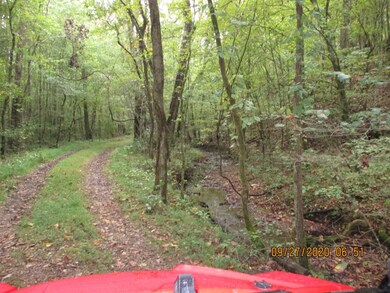 1 Greenfield Rd, Prospect, TN 38477 - photo 6