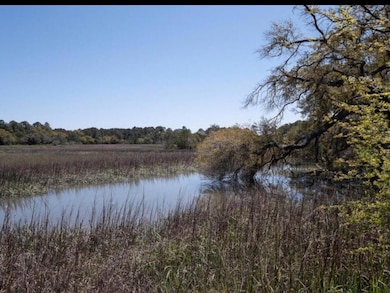 Lot 22 Hopkins Place Dr, Edisto Island, SC 29438 - photo 3