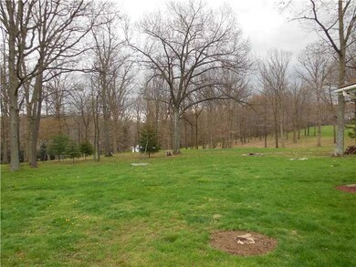 View. Back Yard