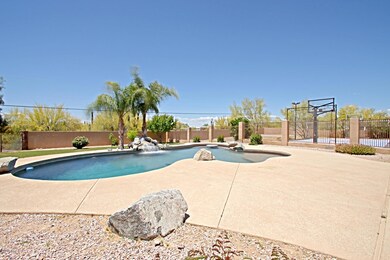 Backyard 4
