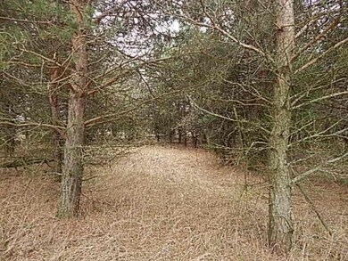DSCN4651