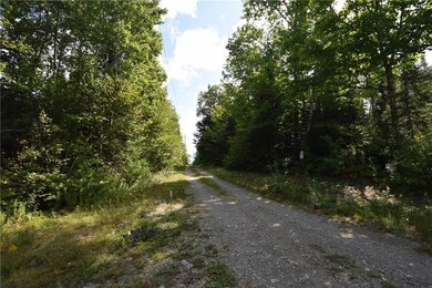 Good graveled roads on the property...