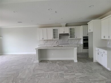 3406 Lake Cortona Way, Wimauma, FL 33598 - photo 4