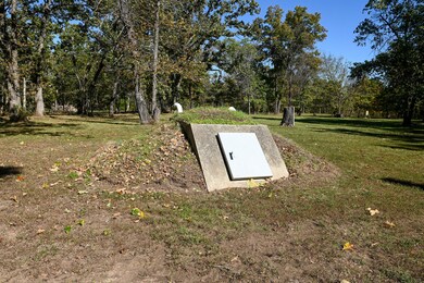 33981 County Road 96, Cross Timbers, MO 65634 - photo 7