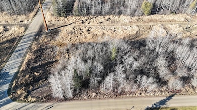 Parcel C Parameter, Deer River, MN 56636 - photo 3