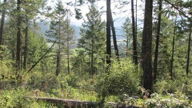 1812 Dry Creek Rd, Chewelah, WA 99109 - photo 7