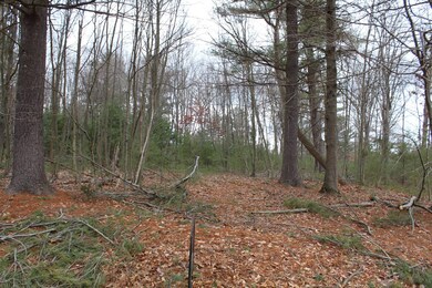 13 Longhorn Rd, Union Township, PA 16652 - photo 5