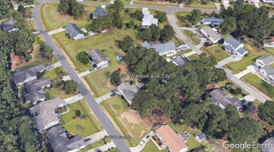 Google Earth View