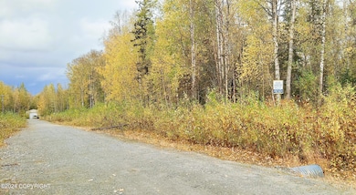 1969 S Clara Cir, Talkeetna, AK 99676 - photo 7