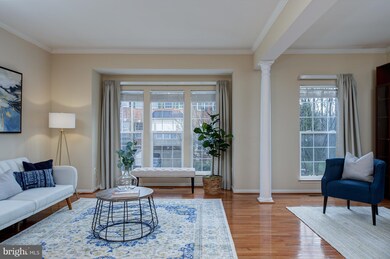 6710 Ordsall St, Alexandria, VA 22315 - photo 5