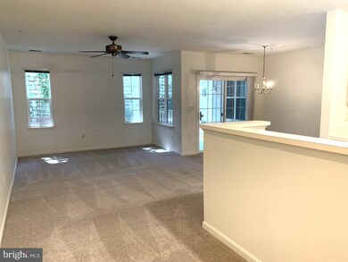 5001 Willow Branch Way unit 103, Owings Mills, MD 21117 - photo 2