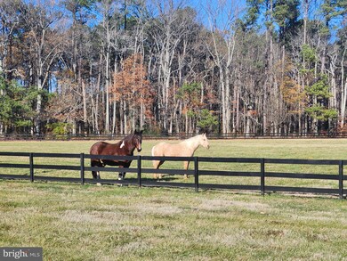 704 Meadow St, Saint Michaels, MD 21663 - photo 6