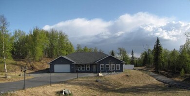 Dual driveways to home & back yard