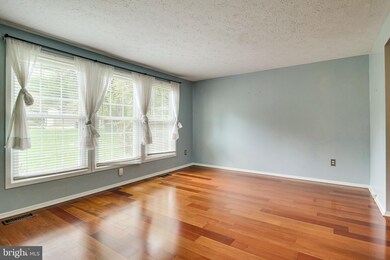 8301 Old Tree Ct, Springfield, VA 22153 - photo 7