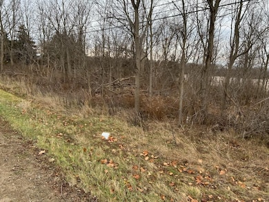 00 M-71, Durand, MI 48429 - photo 3