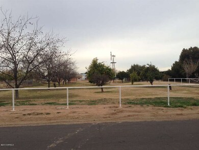 Citrus-Fruit-Nut Orchard