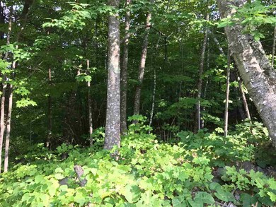 0 Jones Rd unit 4655497, Effingham, NH 03882 - photo 2