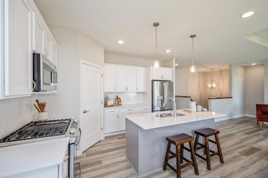 11798 5th St NE, Hanover, MN 55341 - photo 3