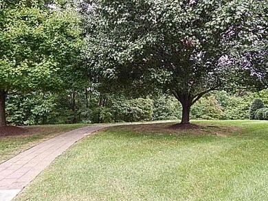 Side View From Patio