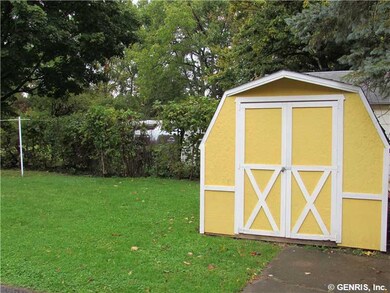 Shed