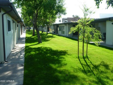 Back Greenspace