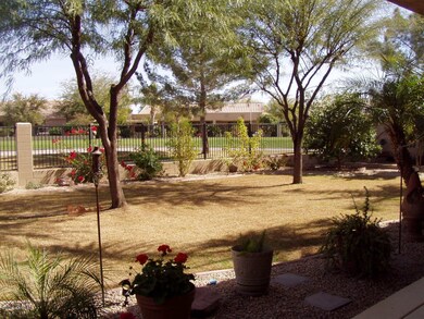 Rear Yard
