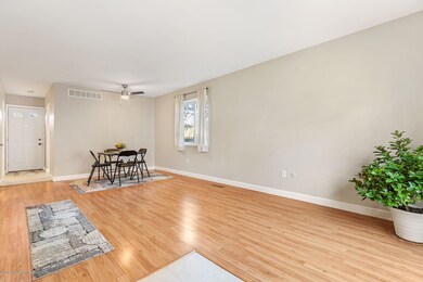 6-web-or-mls-1P6A5739
