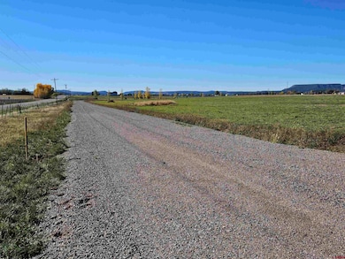 239 Hawks View Dr, Durango, CO 81303 - photo 6