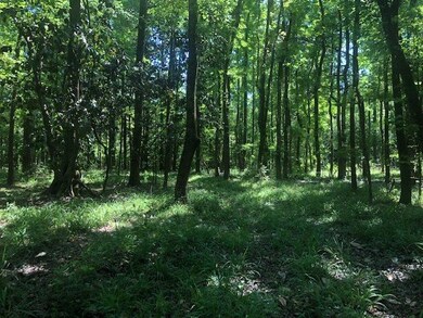 XX Oakwood Trail, Crawfordville, FL 32327 - photo 5