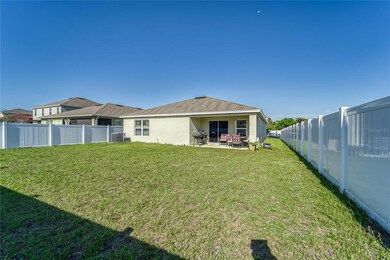 14323 Romeo Blvd, Wimauma, FL 33598 - photo 5