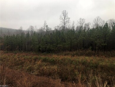 0 Emerald Rock Rd unit 1036570, Asheboro, NC 27205 - photo 4