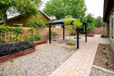 42. Backyard