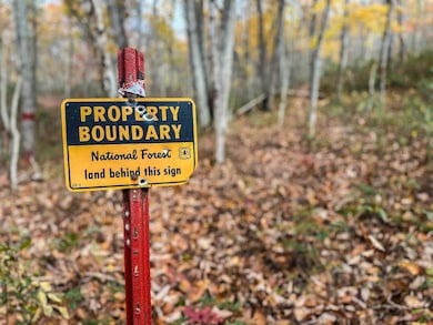 TBD Inch Run Ln, Lyndhurst, VA 22952 - photo 3